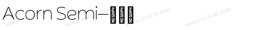 Acorn Semi字体转换
